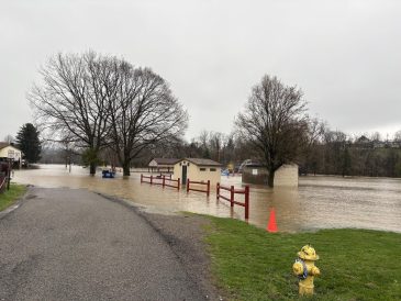 article image - softball fields